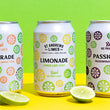 Load image into Gallery viewer, Sparkling Sodas mixed Slab (24)